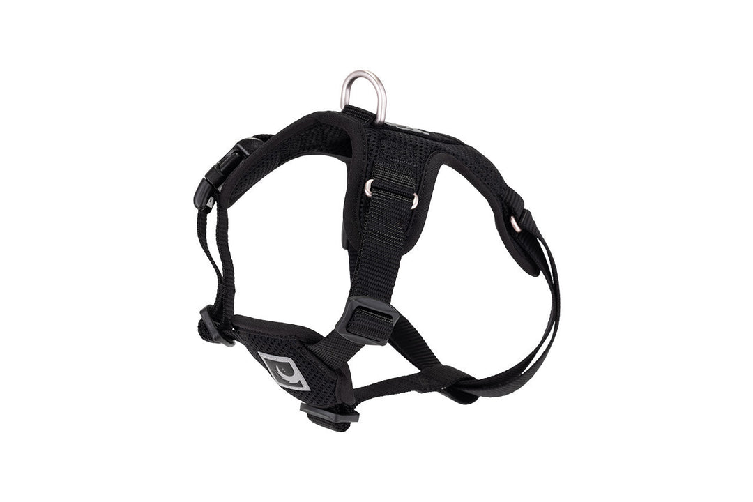 RCP Harnais Step-In Forte M Noir