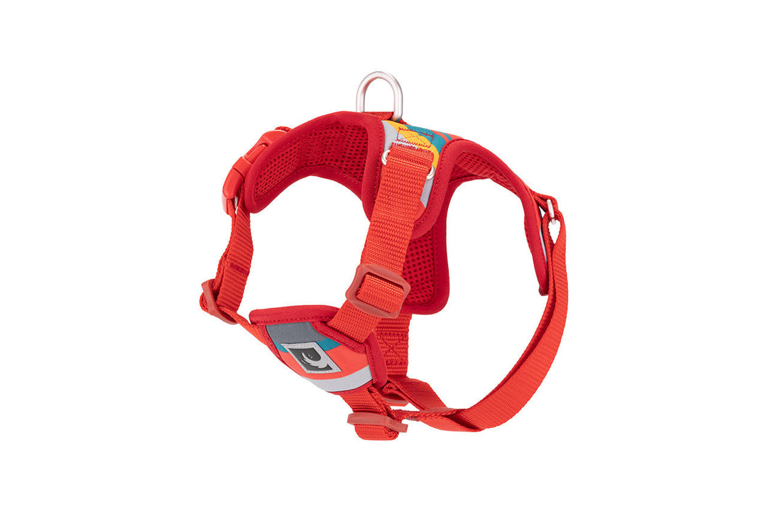 RCP Harnais Step-In Forte XL Multi Rayures