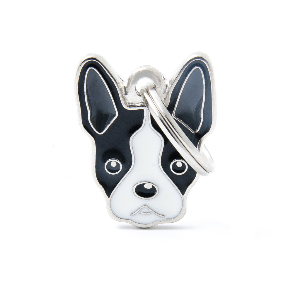 MFC Friends Terrier de Boston