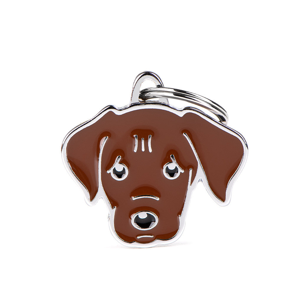 MFC Friends Labrador Chocolat