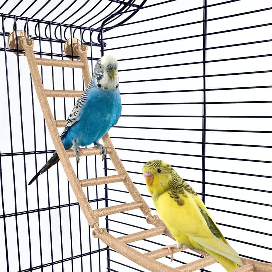 IMAC - Cage Sofia - Cage pour Canaris, Conures et Perruches