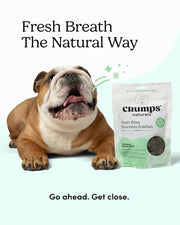 Crumps' Naturals - Bouchées Fraîche Menthe Verte - Gâteries Lyophilisées pour Chiens