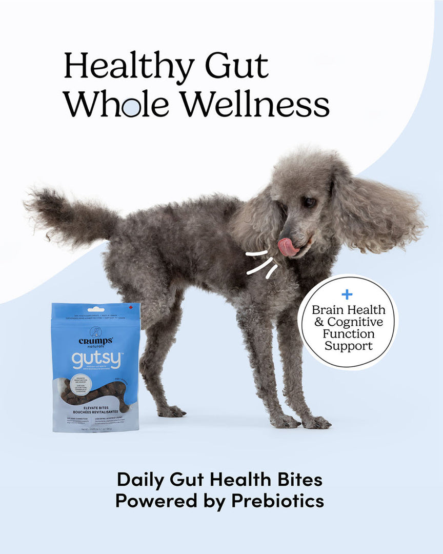 Crumps' Naturals Gutsy - Bouchées Revitalisantes - Gâteries pour Chiens