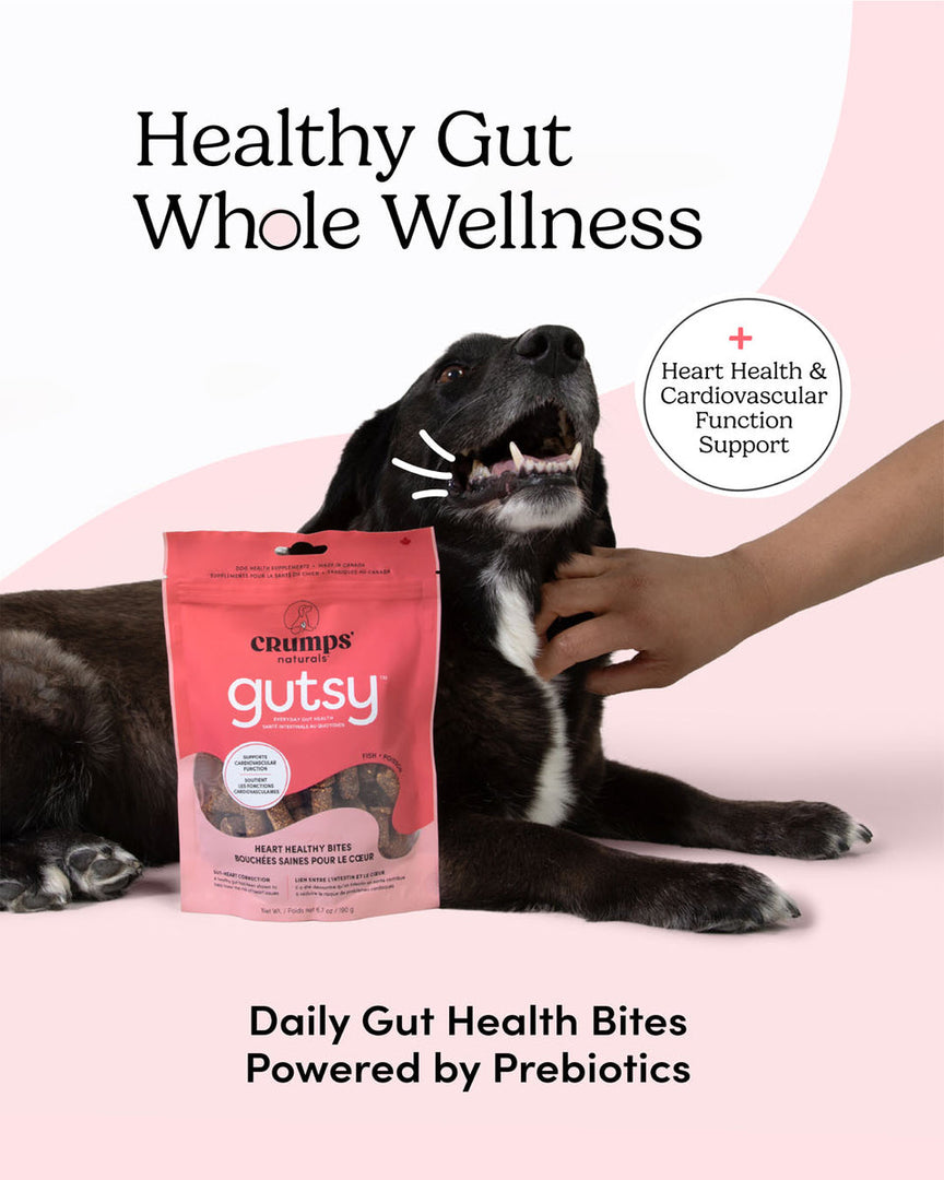 Crumps' Naturals Gutsy - Bouchées Saines pour le Coeur - Gâteries pour Chiens