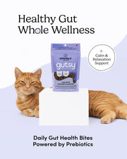 Crumps' Naturals Gutsy - Bouchées Calmantes - Gâteries Tendres pour Chats