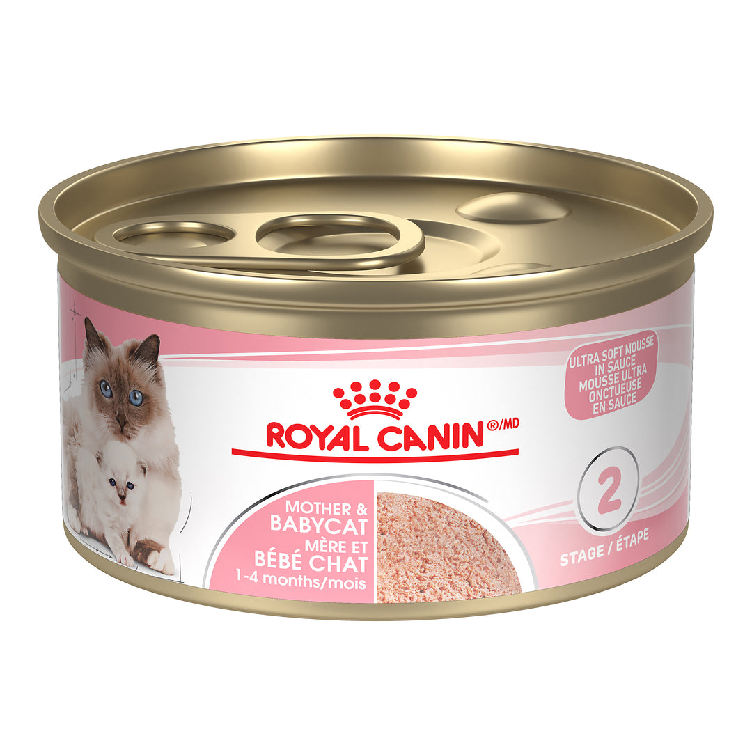 ROYAL CANIN Chat Mère et Bébé en Mousse 85g