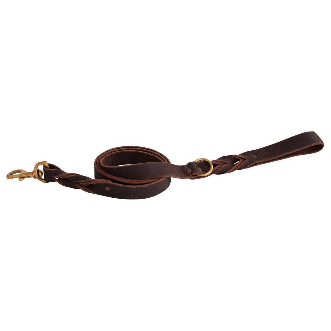 SHEDROW Bristol Laisse Noir S
