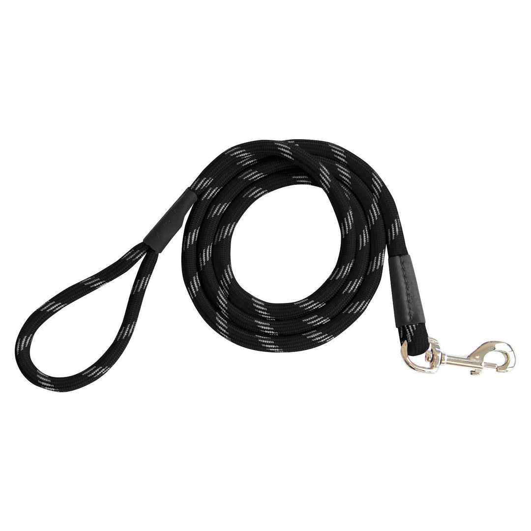 SHEDROW Camino Laisse Corde 6' Noir