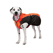 SHEDROW Chinook Manteau Orange & Gris M
