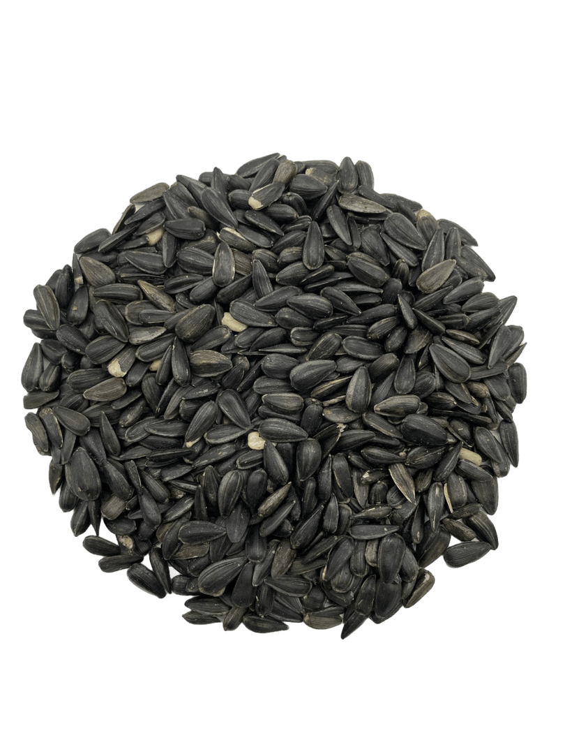 MASKA SELECT Nourriture Tournesol Noir 18kg pour Oiseaux Sauvages