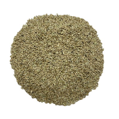MASKA SELECT Nourriture Alpiste 2kg pour Oiseaux Sauvages