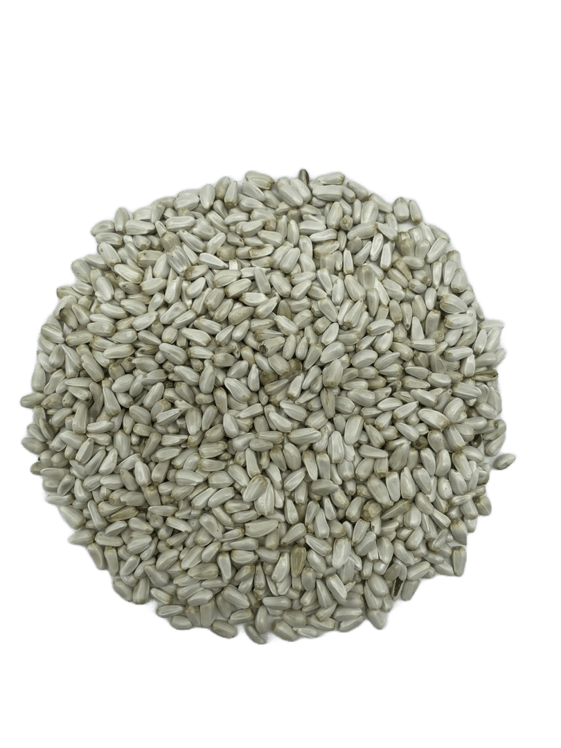*MASKA SELECT Nourriture Carthame 22.68kg pour Oiseaux Sauvages