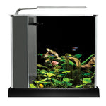 Voir l’image dans la galerie, Fluval Spec - Aquarium Équipé - Aquarium pour Poissons