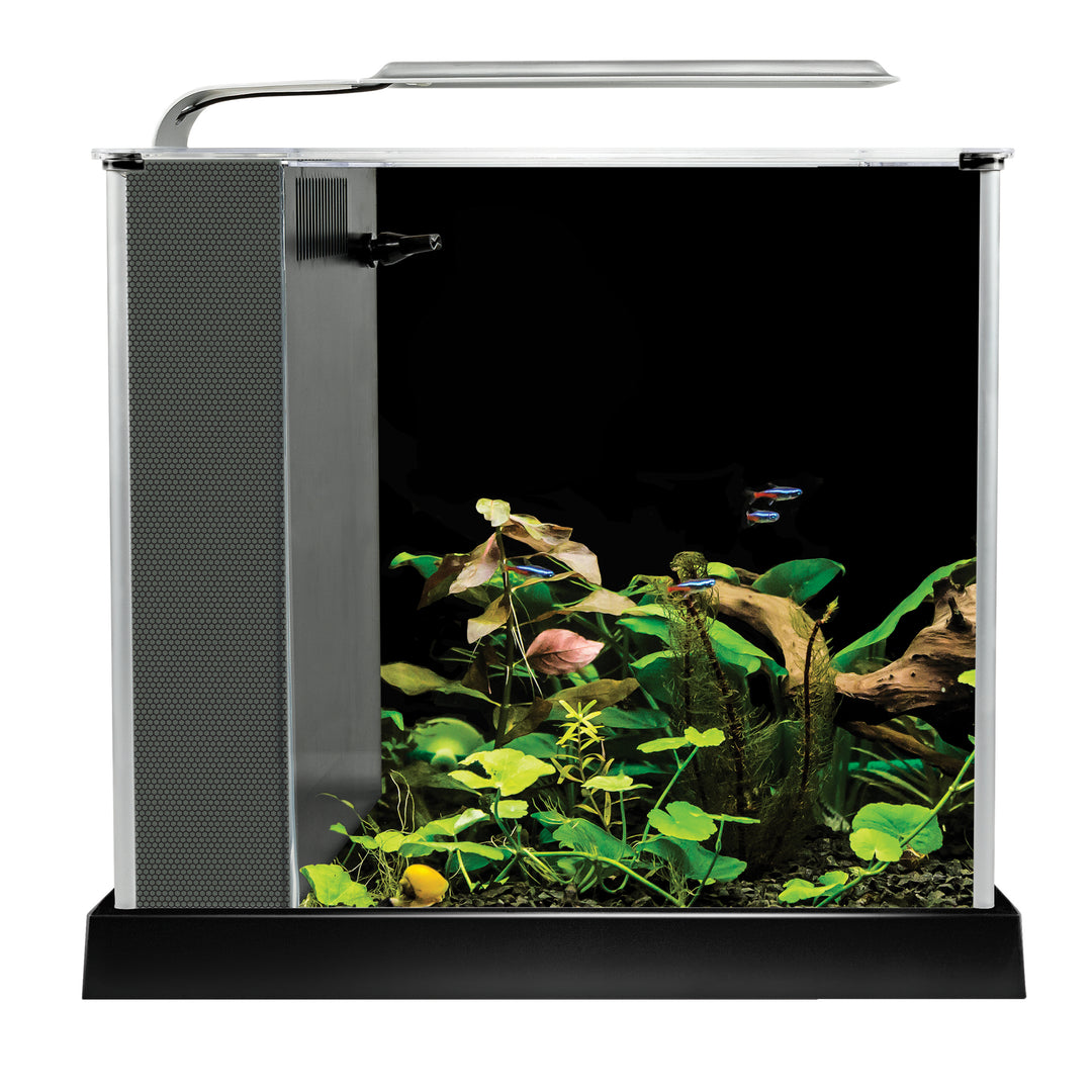 Fluval Spec - Aquarium Équipé - Aquarium pour Poissons