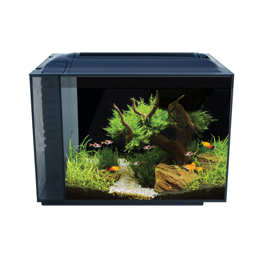 Fluval Spec - Aquarium Équipé - Aquarium pour Poissons
