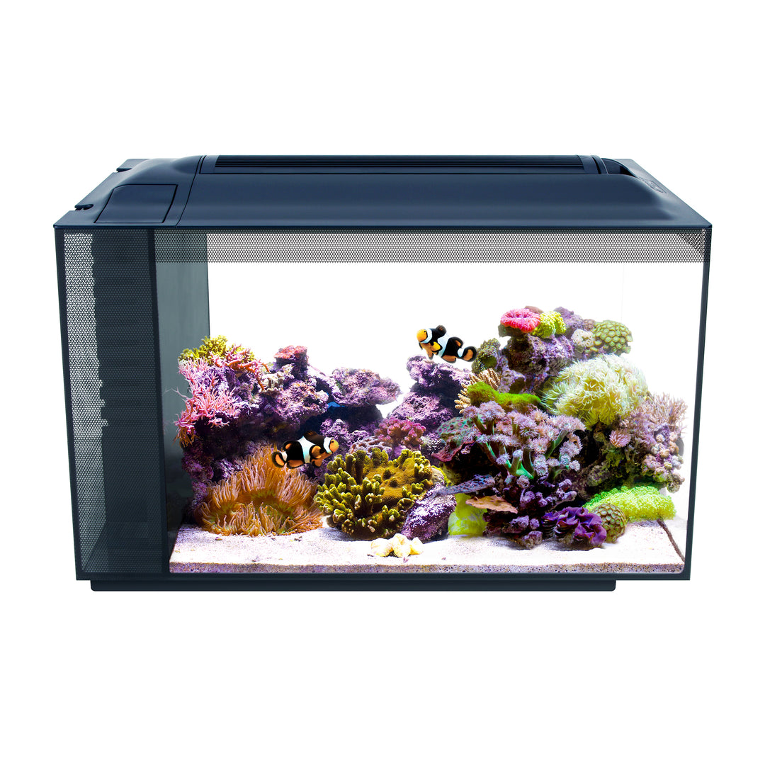Fluval Sea - Aquarium d'Eau de Mer Équipé Evo - Aquarium pour Poissons