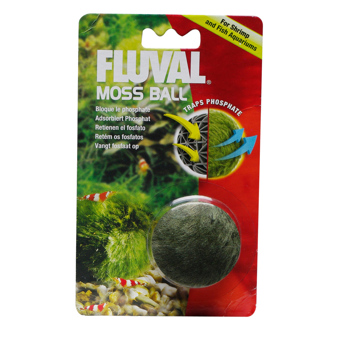 Fluval - Boule de Mousse Naturelle - Plante pour Aquariums