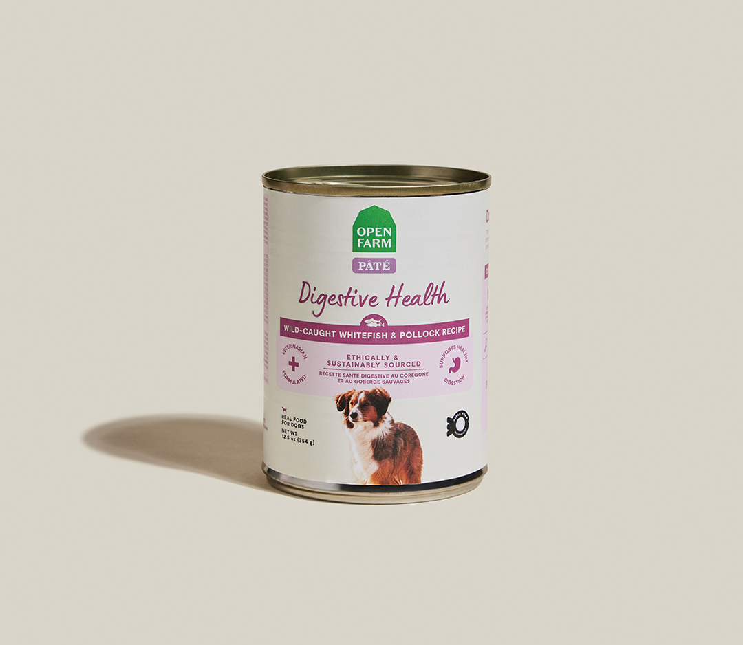 Open Farm - Santé Digestive, Pâté Goberge et Avoine - Nourriture Humide pour Chiens