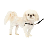 Petsafe - Easy Walk Harnais - Harnais Anti-Traction pour Chiens