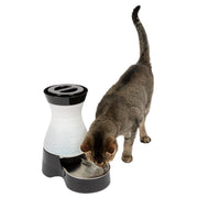 Petsafe - Healthy Pet Station d'Eau à Gravité - Abreuvoir pour Chiens et Chats