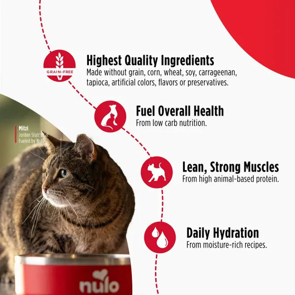 Nulo Freestyle - Saumon et Maquereau - Nourriture Humide Sans Grains en Pâté pour Chats et Chatons