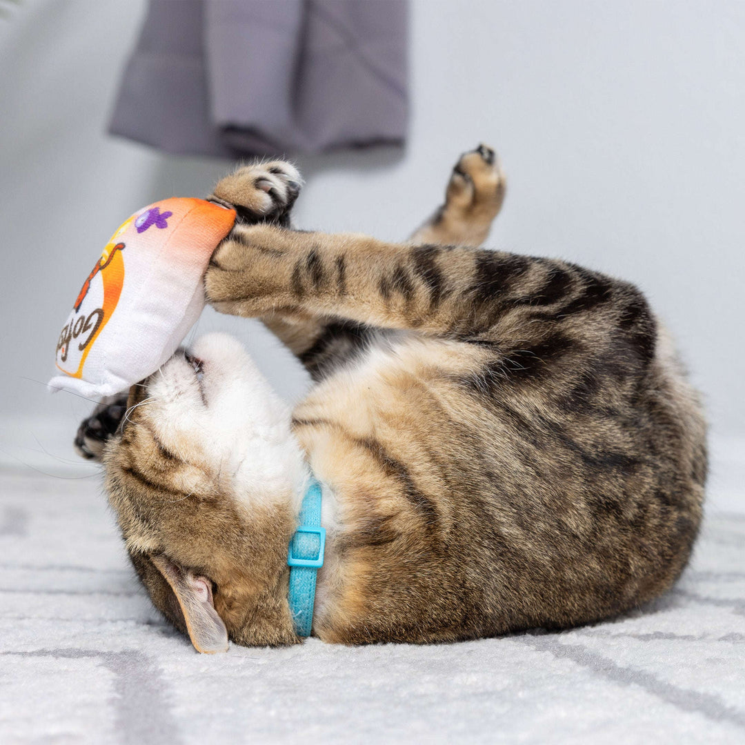 Kittybelles - GoFish Phishy avec Herbe à Chat - Jouet en Peluche Froissé pour Chats