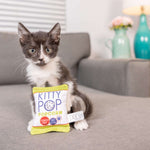 Voir l’image dans la galerie, Kittybelles - Kitty Pop Popcorn avec Herbe à Chat - Jouet en Peluche Froissé pour Chats