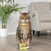 Kittybelles - Sour Scrath Kats avec Herbe à Chat - Jouet en Peluche Froissé pour Chats