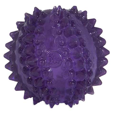 JW Pet - Balle Cactus Bristl-ee - Jouet Interactif pour Chiots