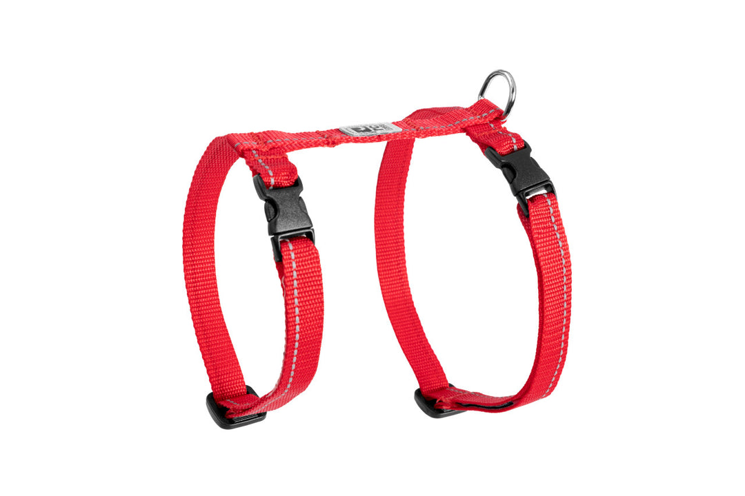 RCP Chat Harnais Base L 14-22" Rouge