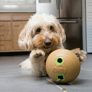 Kong Haltère en Bambou - Jouet et Distributeur de Friandises pour Chiens