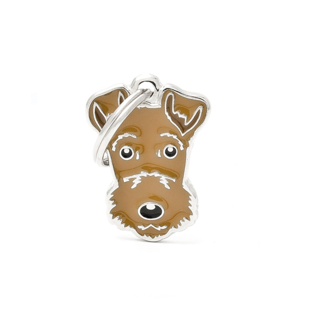 MFC Friends Terrier Airedale