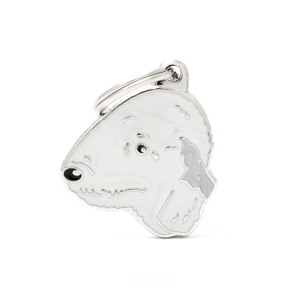 MFC Friends Terrier de Bedlington