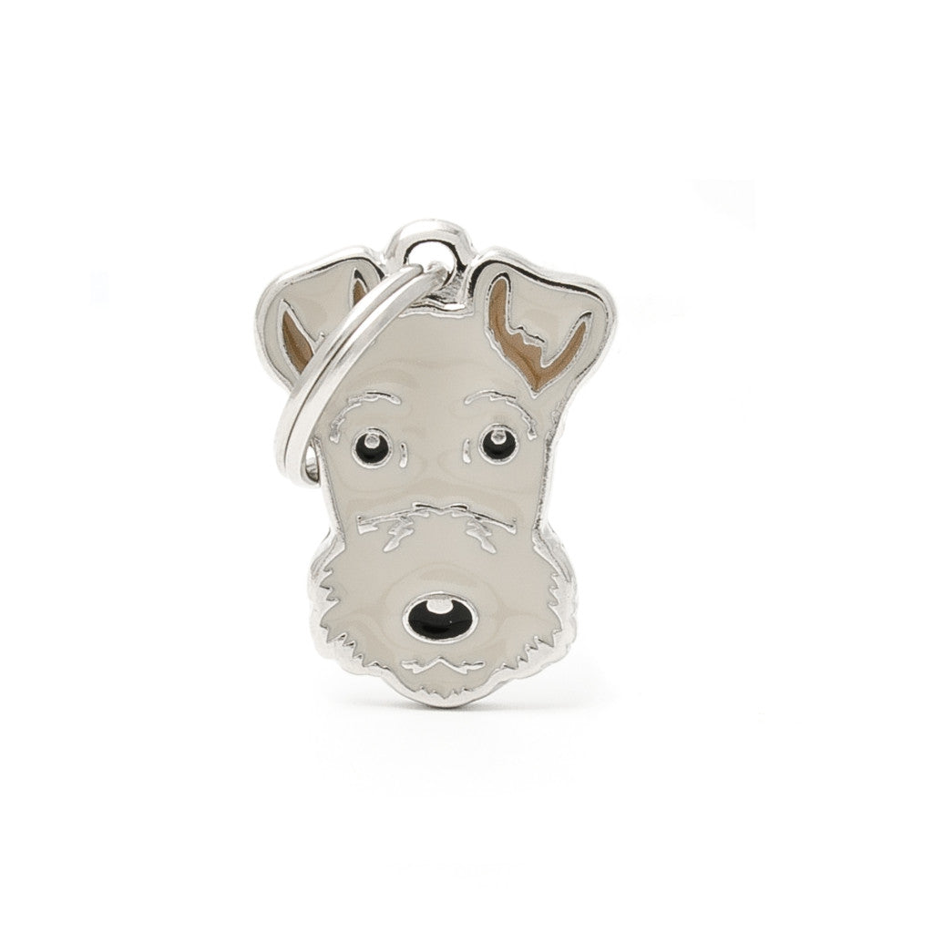 MFC Friends Terrier du Lakeland