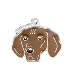 Voir l’image dans la galerie, MFC Friends Vizsla