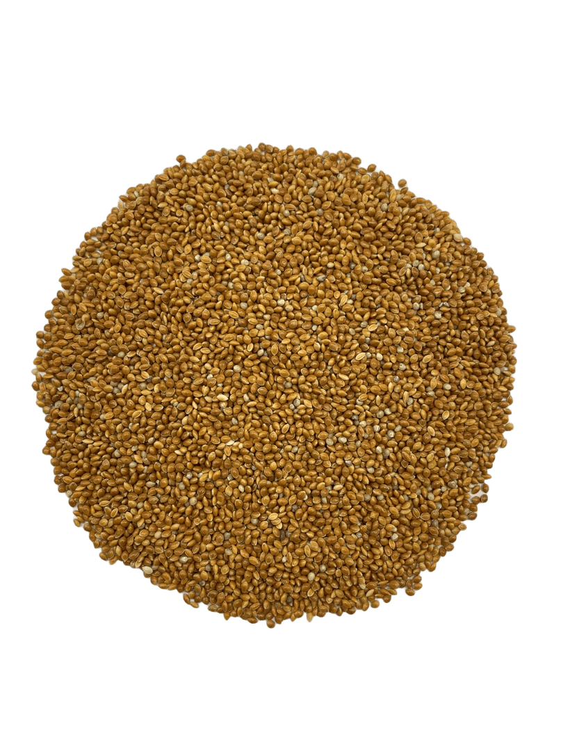 *MASKA SELECT Nourriture Millet Rouge 22.68kg pour Oiseaux Sauvages