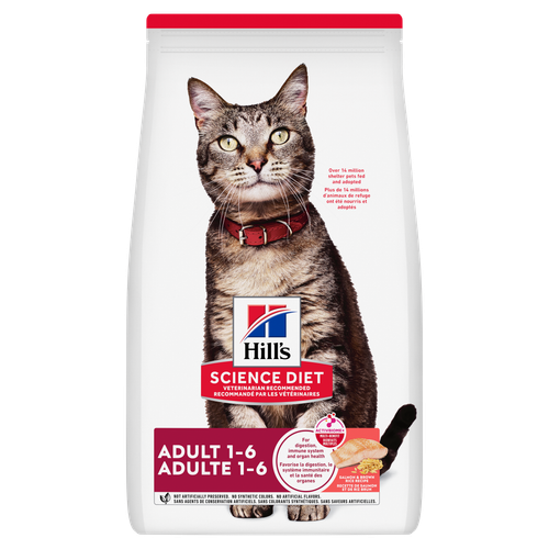 Hill's Science Diet - Saumon et Riz Brun - Nourriture Sèche pour Chats Adultes 1-6 Ans