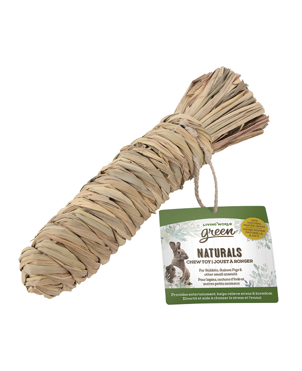 LW GREEN Jouet Rongeur Naturals Carotte