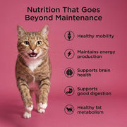 Petcurean Go! Solutions - Chat Vieillir En Santé Saumon et Canard - Nourriture Sèche pour Chats