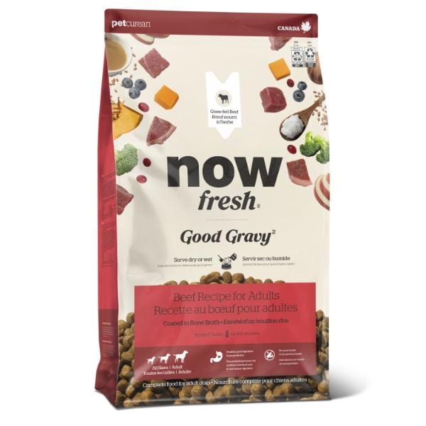 Petcurean Now Fresh Good Gravy - Chien Boeuf avec Grains Anciens - Nourriture Sèche pour Chiens