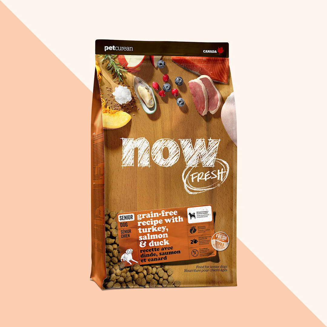 Petcurean Now Fresh - Dinde, Saumon et Canard - Nourriture Sèche Sans Grains pour Chiens Seniors