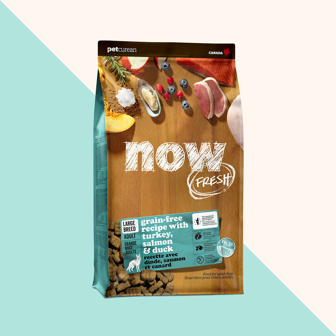 Petcurean Now Fresh - Dinde, Saumon et Canard - Nourriture Sèche Sans Grains pour Chiens Adultes de Grandes Races
