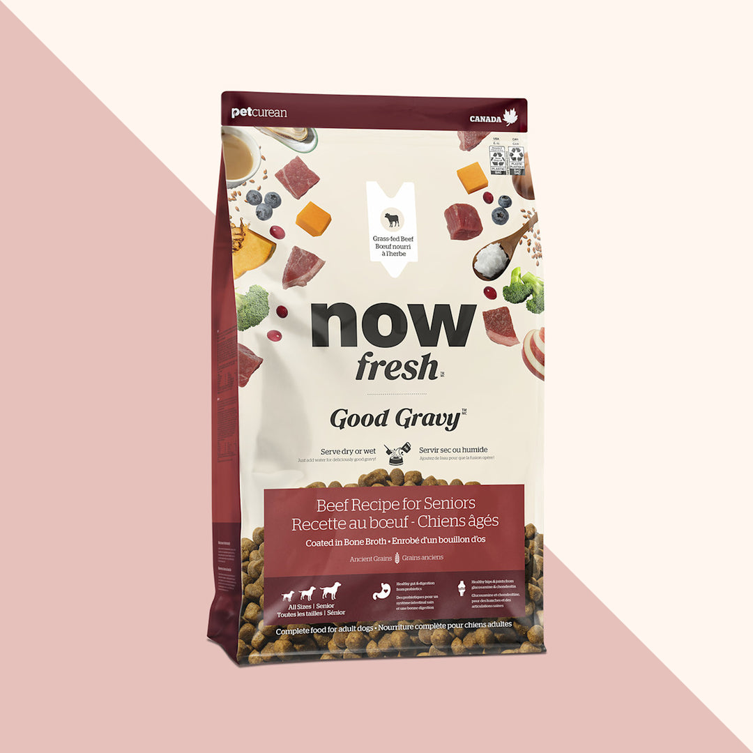 Petcurean Now Fresh Good Gravy - Boeuf - Nourriture Sèche avec Grains Anciens pour Chiens Seniors