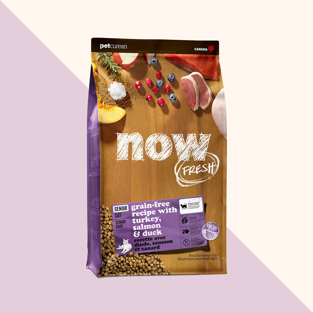 Petcurean Now Fresh - Dinde, Saumon et Canard - Nourriture Sèche Sans Grains pour Chats Âgés
