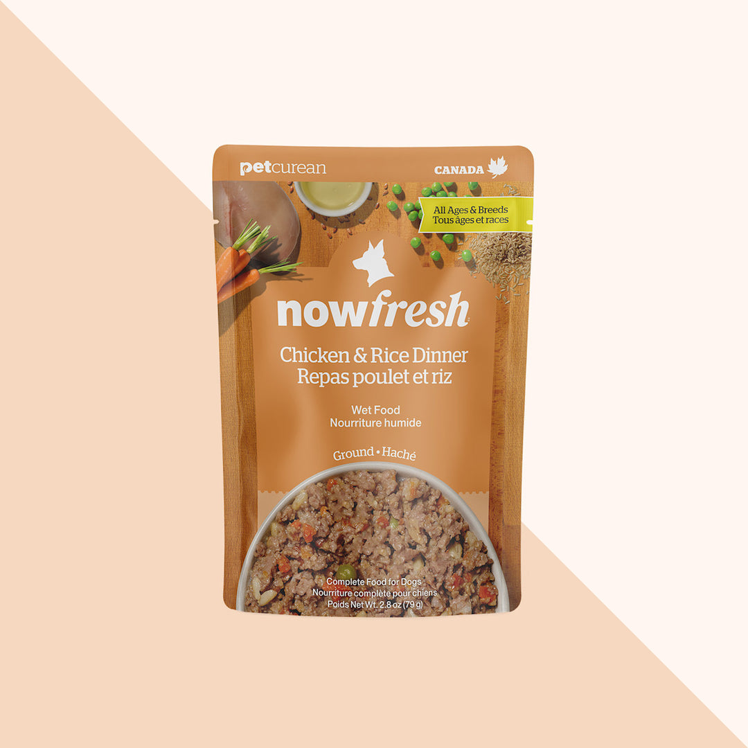 Now Fresh - Chien Poulet Haché et Riz - Nourriture Humide pour Chiens en Pochette