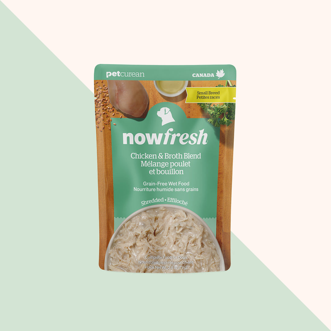Now Fresh - Chien Petite Race, Poulet Éffiloché et Bouillon - Nourriture Humide Sans Grains pour Chiens en Pochette
