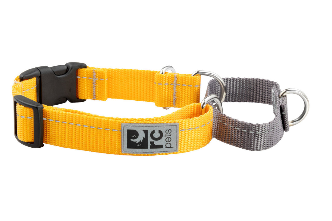 *RCP Collier Dressage Sangle Base L Fleur de Souci