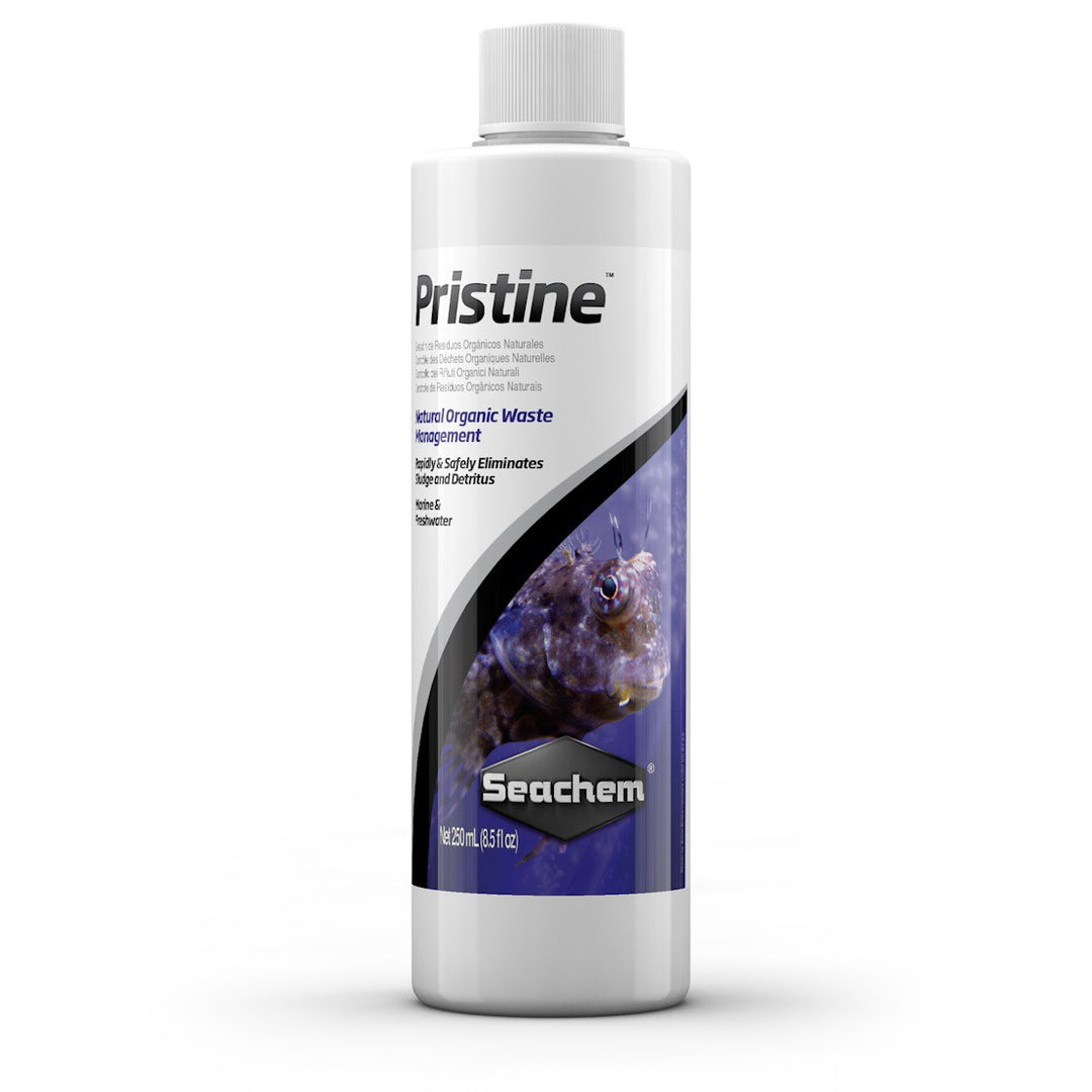 SEACHEM Pristine 1L pour Aquarium