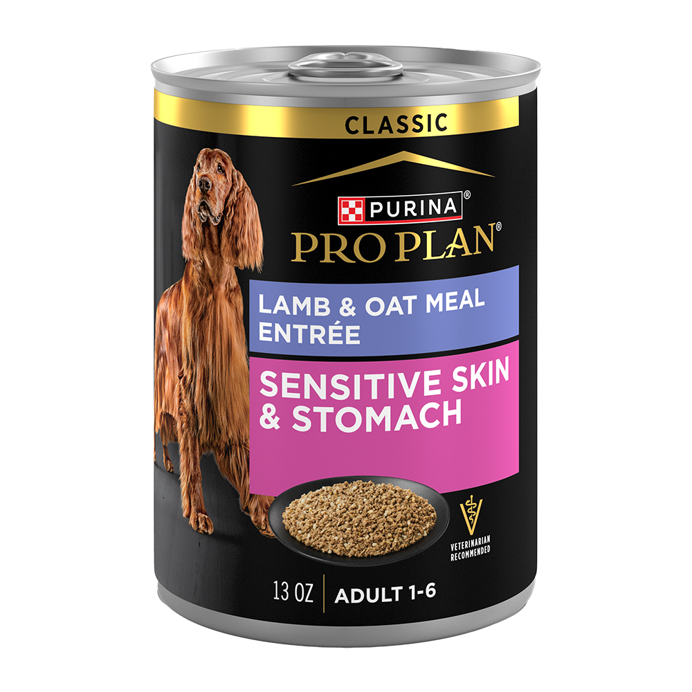Purina Pro Plan - Peaux et Estomacs Sensibles - Entrée d'Agneau et Farine d'Avoine Classique - Nourriture Humide pour Chiens Adultes