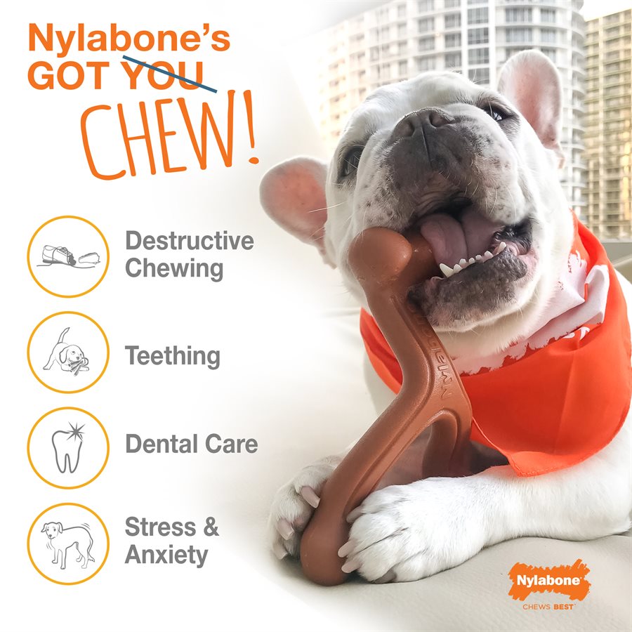 Nylabone - Os Durable Saveur de Beurre d'Arachide - Jouet à Mâcher pour Chiens